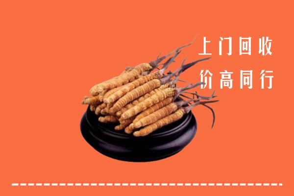 高价求购：聊城莘市回收散虫草