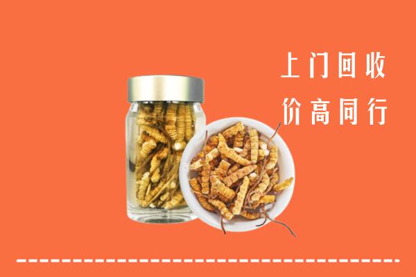 聊城莘市回收冬虫夏草