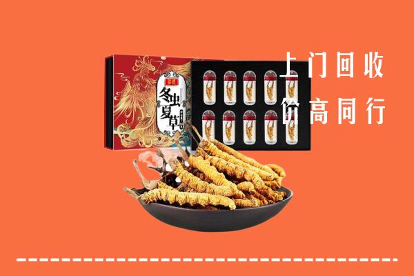 聊城莘市回收虫草
